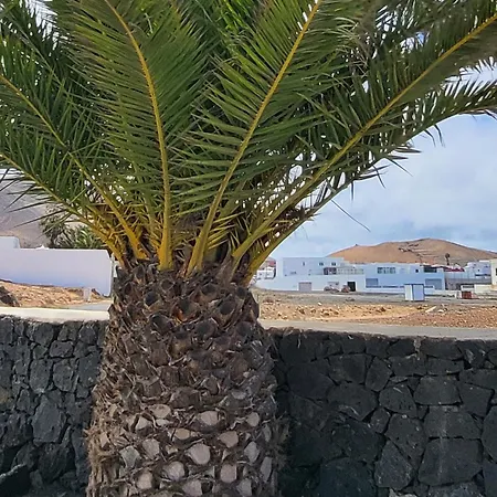 Apartamento Casa Palmeritas *