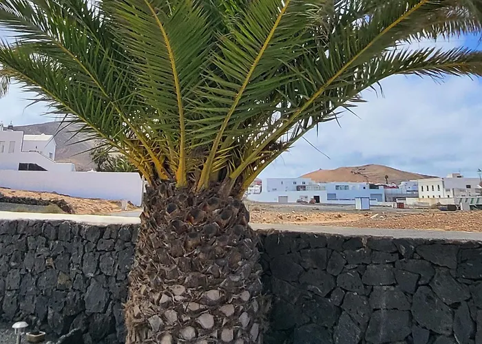 Apartmán Casa Palmeritas *