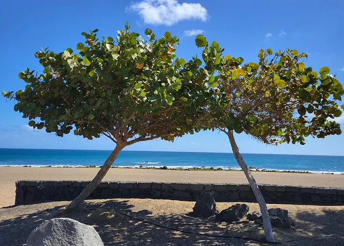 Casa Palmeritas 티나조